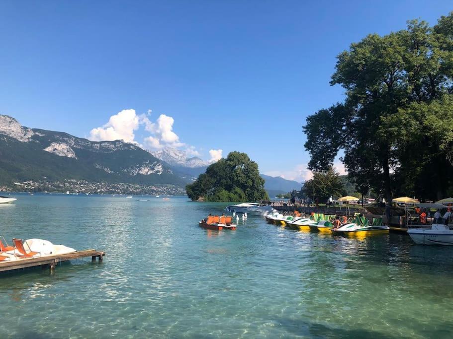 Appartement Proche Centre Ville Avec Parking Gratuit Annecy Exterior photo